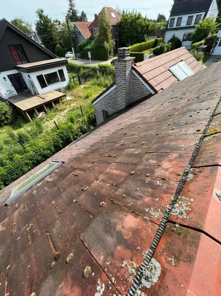 Toiture en tuiles usée, couverte de mousse et de lichen, avant rénovation par Plomberie-Toiture MERTENS B.